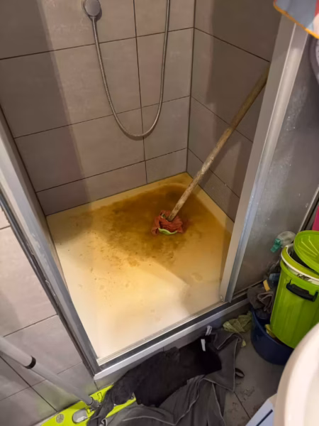 Rückstau_WC_vertopft